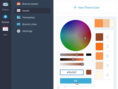 How To Create Your Own Custom Theme Colors Visme