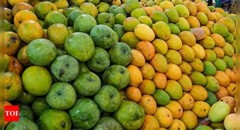 Traders in Mumbai express interest in exporting mango varieties from UP ...