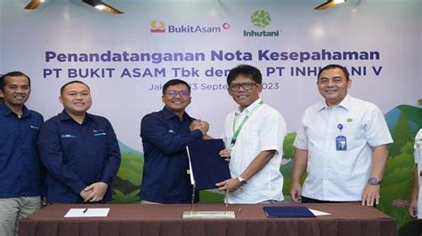 Ptba Gandeng Inhutani V Untuk Reklamasi Hingga Pengelolaan Hutan