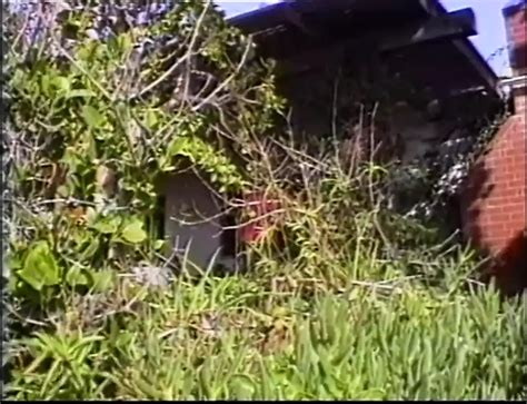 Echter Analsex Aus Brasilien Full Movie Porn B Xhamster Xhamster