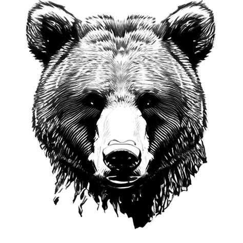 Grizzly Bear Pencil Sketch · Creative Fabrica