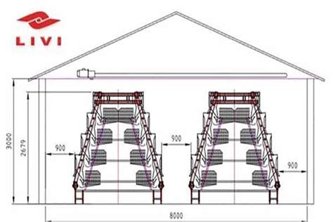 Solution Of 10000 Layers Using A Type Layer Cage - livi