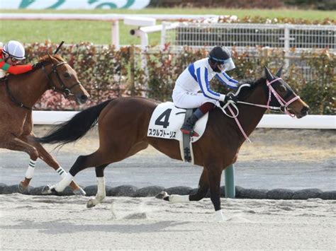 【中京3r新馬戦結果】スクルプトーリスが好位追走から抜け出す 競馬ニュース Netkeiba