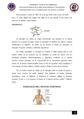 Organización histológica del sistema nervioso PDF