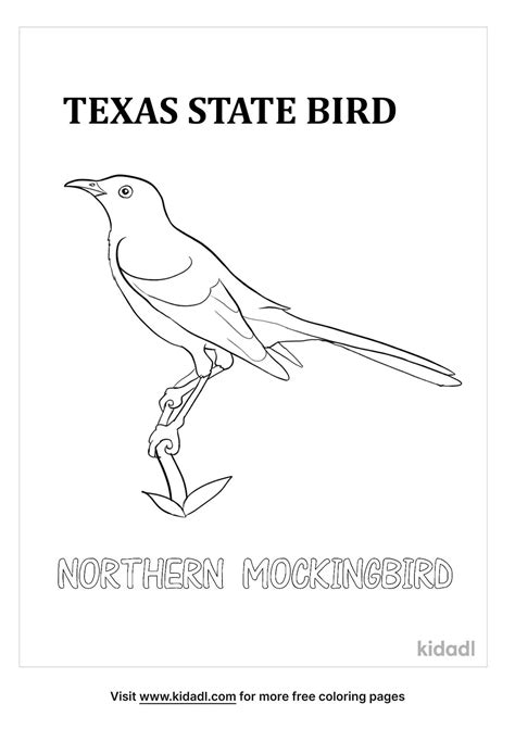 Free Texas State Bird Coloring Page Coloring Page Printables Kidadl