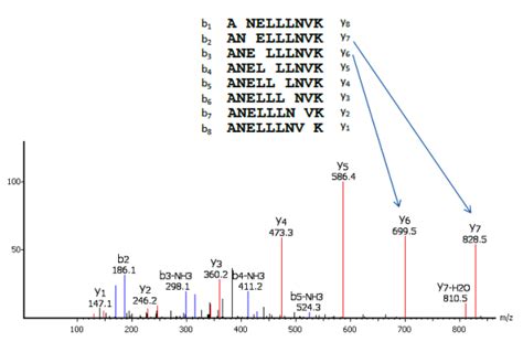 De Novo Peptide Sequencing Lc Msms Software Bioinformatics