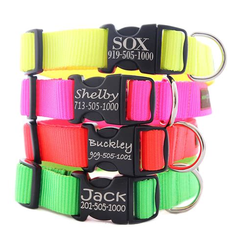 Customized Neon Dog Collar 4 Fluorescent Colors With Info