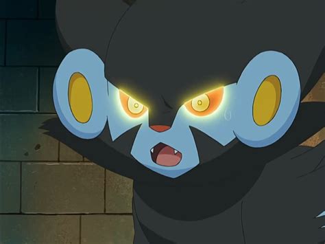 Luxray Noticed 1 By Jvillacorta0611 On Deviantart