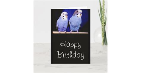 Parakeets Budgies Happy Birthday Greeting Card