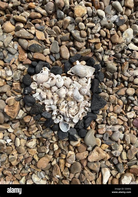 White Shell Heart On A Shingle Beach Stock Photo Alamy