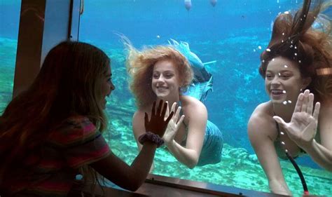 Discover The Weeki Wachee Springs State Park Mermaid Show Weeki