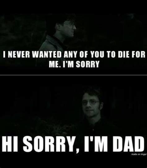 Dad jokes are universal : r/HarryPotterMemes