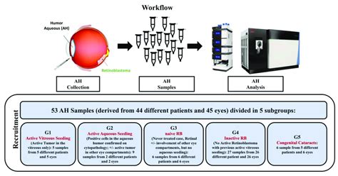 Workflow Of The Proteomic Analysis Of The Aqueous Humor In Patients