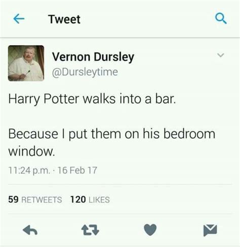 Harry Potter: 10 Hysterical Dursley Logic Memes