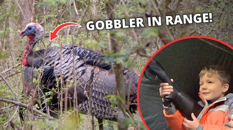 This Gobbler Was FIRED UP TN Youth Turkey Hunt 2023 YouTube