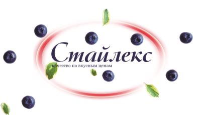 Контакты