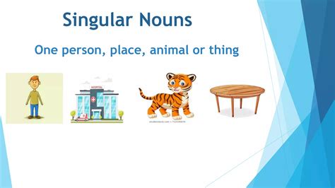 Class English Ppt Noun Numbers Singular Plural English Grammar Ppt