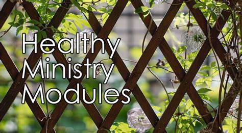 Reminder Upcoming Healthy Ministry Modules — Southwest Conference