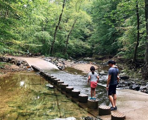 Scott S Run Waterfall Nature Preserve