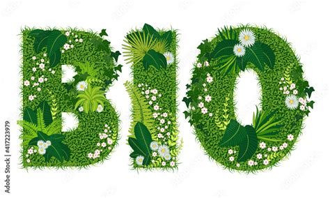 Mot Bio Compos De Lettres Florales Illustration Vectorielle Dun