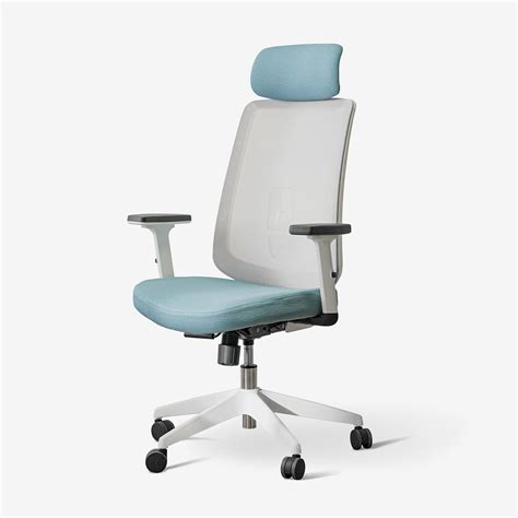 Ergonomic Office Chairs