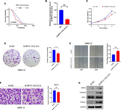 Frontiers A Necroptosis Related Lncrna Signature Was Identified To