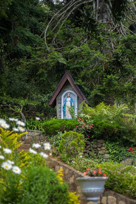 Virgin Mary Statue in a Garden · Free Stock Photo