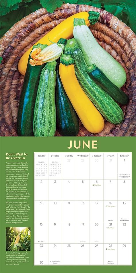 The Year Round Vegetable Gardener 2024 Wall Calendar Expert Advice