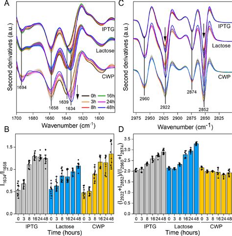 Micro Ftir Analysis Of Gfp Producing Cells A Micro Ftir Analysis Of Download Scientific