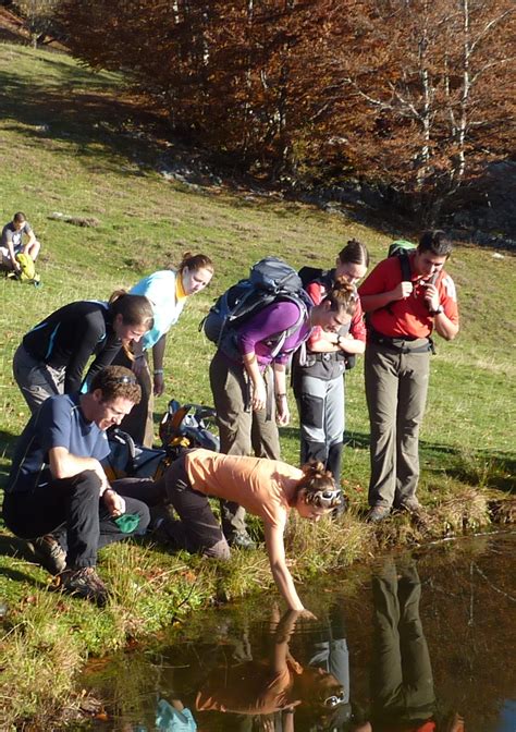 Animations Nature Fleurs De Montagne Activit S Sportives Saint