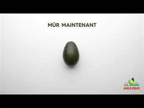 Comment Ralentir Le M Rissement D Un Avocat Youtube