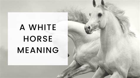 A white horse meaning – Katrina Jane