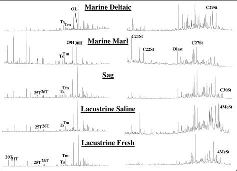 Terpane M Z Left And Sterane M Z Right Mass Chromatograms