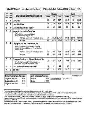 Ssi And Ssp Benefit Levels Chart 2020 Fill And Sign Printable