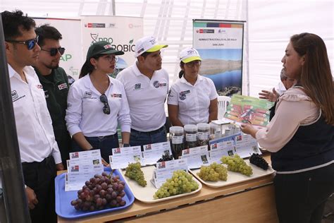 Programa Con punche regional en la región Ica Ministerio de Salud