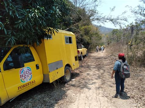 Atiende Coesfo Incendio Forestal En San Pedro Amuzgos La Onda Oaxaca