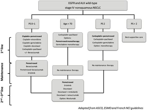 Pemetrexed For Advanced Stage Nonsquamous Non Small Cell Lung Cancer