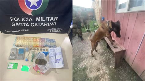 Ação cães farejadores leva a apreensão de menores e drogas em