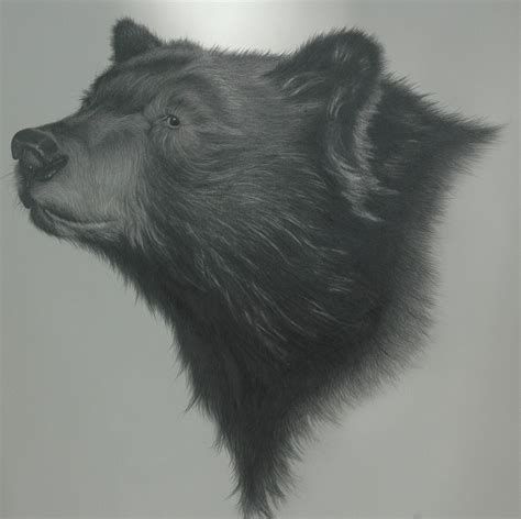 Black Bear Pencil Sketch by waynejoldroydart on Etsy