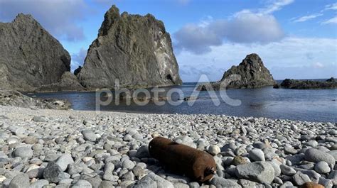 北海道の「積丹半島・島武意海岸」 No 26684895｜写真素材なら「写真ac」無料（フリー）ダウンロードok