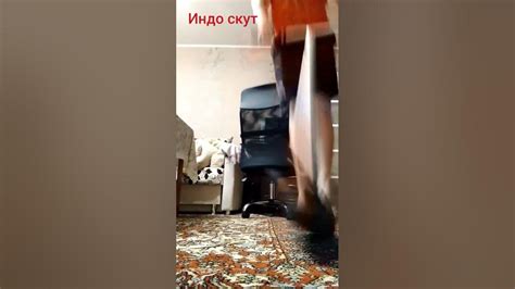 индо скут - YouTube
