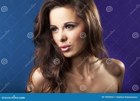 Brunette Girl Portrait Stock Image Image Of Brunette 7092935