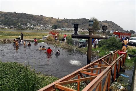 Nadan En Estanque Junto A Carretera