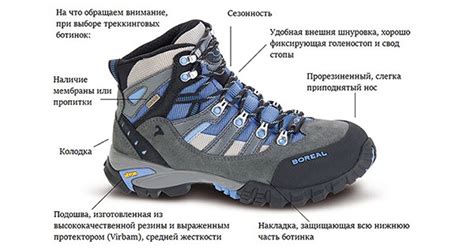 И в жару, и в непогоду. Выбираем обувь для похода