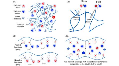 水凝胶基仿生离子通道及其智能离子传输