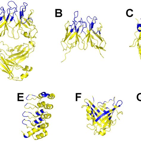 Chaperone Platforms For Membrane Protein Co Crystallization Yellow