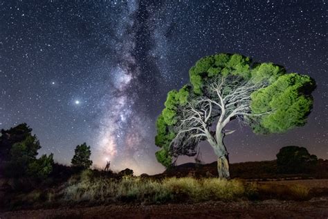 Perseidas Mejores Sitios En España Para Ver Las Estrellas Fugaces