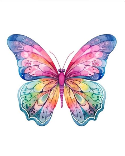 Pin By ELI Talone On Adesivi Butterfly Art Colorful Butterflies