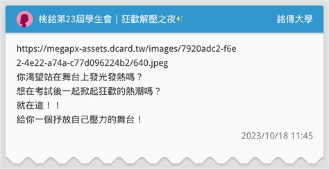 桃銘第23屆學生會｜狂歡解壓之夜 銘傳大學板 Dcard
