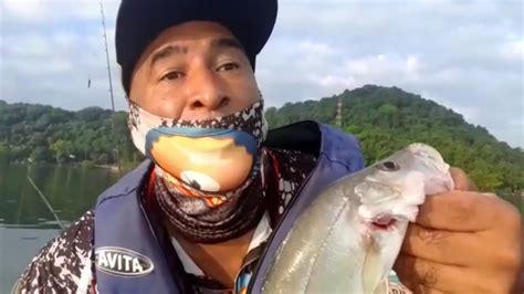 Pescaria CAIAQUE MANGUE muito ROBALO Flecha E Peva Guarujá Canal